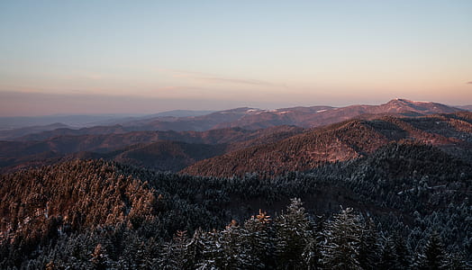 aerial view photography of mountain and trees during daytime thumbnail