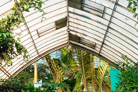 plant lot under garden shed during datime thumbnail
