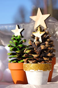 selective photography of brown Christmas tree on white pot thumbnail
