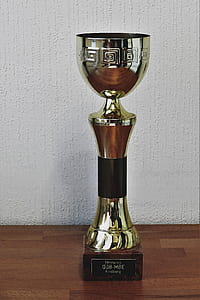 gold-colored and brown trophy cup on brown wooden surface thumbnail