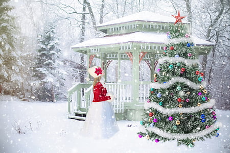 female in red dress in front of Christmas tree and gazebo during winter thumbnail