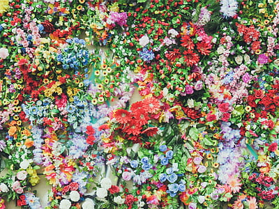 assorted-color petaled flowers thumbnail