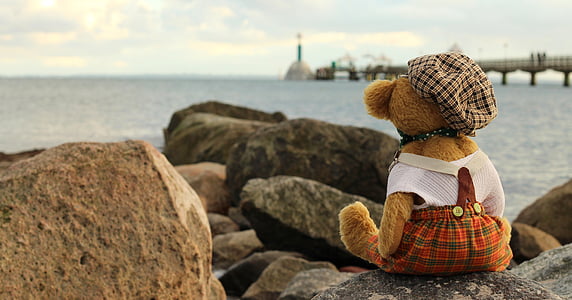 bear plush toy on top of rock near body of water thumbnail