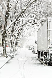 tree covered with snow in front of truck thumbnail