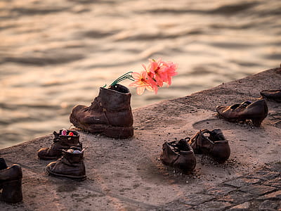pink flowers in brown leather boot beside ocean thumbnail
