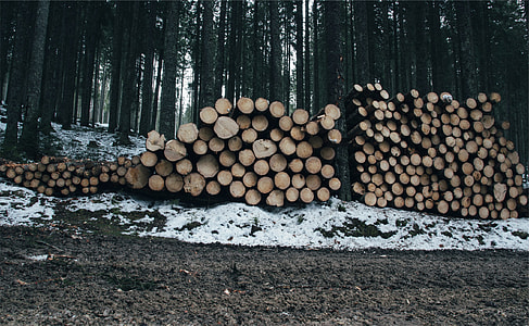 brown wood logs lot thumbnail