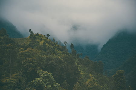 bird's eye view photography of mountain with fogs thumbnail