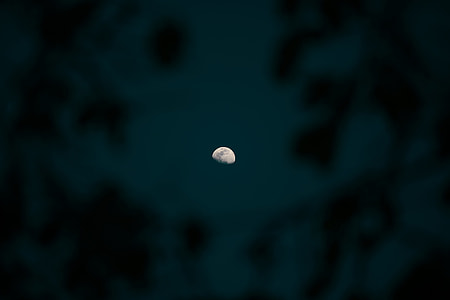 backgrounds, abstract, nature, defocused thumbnail