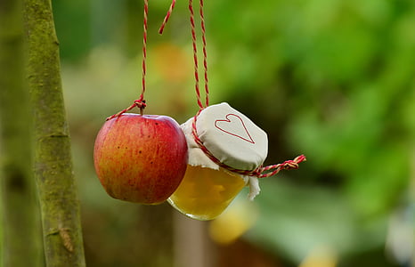 red apple and clear glass jar hanging on red strings in shallow focus shot thumbnail