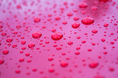 close-up photography of water droplets thumbnail