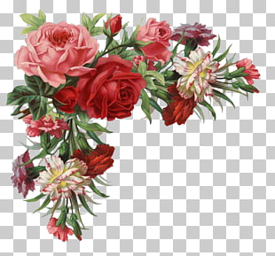 Flower Rose Vintage clothing , Rose border, red and pink rose flowers illustration PNG clipart