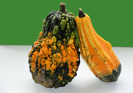 focus photo of two green-and-orange squashes thumbnail
