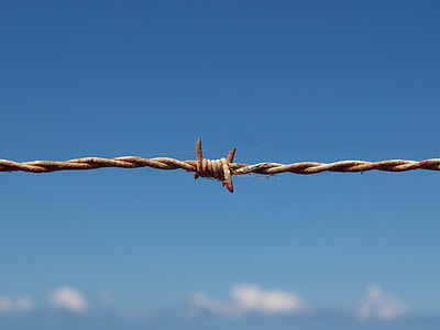 macro photography of barbed wire thumbnail
