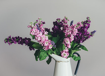 purple petaled flowers on vase thumbnail