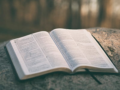 open book with black bookmark on concrete pavement thumbnail