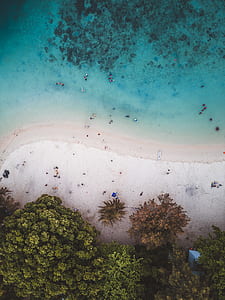 aerial photo of white sand beach thumbnail
