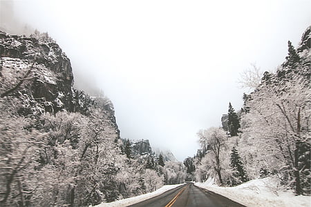 road between snow-covered trees and hills thumbnail