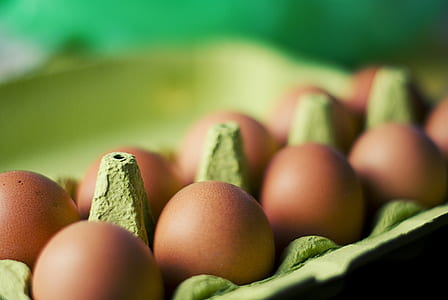 food, eggs thumbnail