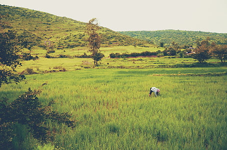 person on grassfield during daytime thumbnail