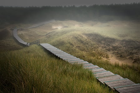 high angle photo of brown wooden pathway on mountain range thumbnail
