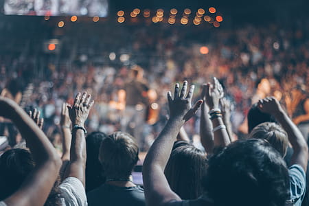 Group of People Raise Their Hands on Stadium thumbnail