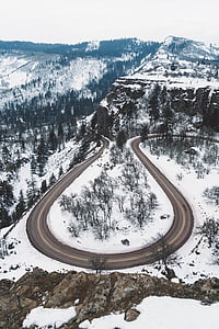 horseshoe road surrounded with trees thumbnail