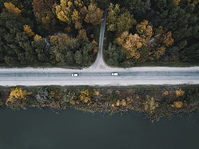 aerial photography of road beside body of water with trees thumbnail