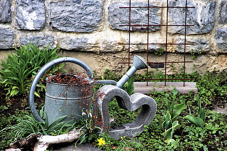 gray watering can on green grass during daytime thumbnail