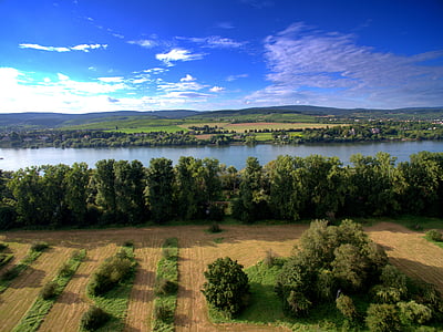 aerial view of river between trees thumbnail