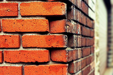 selective focus photography of corner brick wall thumbnail