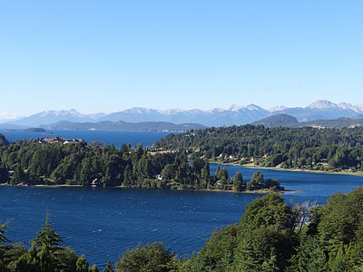 aerial photo of forest thumbnail