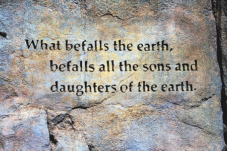 what befalls the earth. befalls all the sons and daughters of the earth. rock carved quote thumbnail