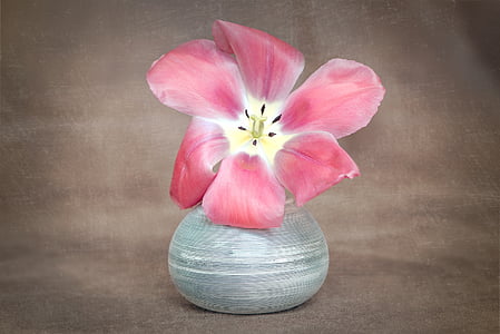 pink and red flowers in vase thumbnail