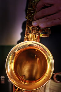 person holding brass saxophone thumbnail