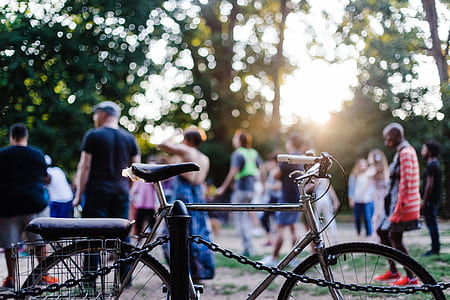 people playing at the park thumbnail