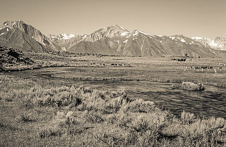 View of a river surrounded by green grass with mountains seen in the background thumbnail