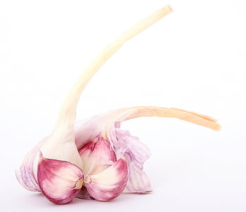 maroon and white onions thumbnail