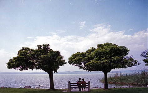 couple on bench between trees beside body of water thumbnail