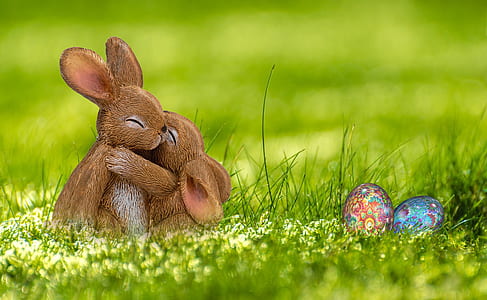 two brown rabbits on green grass with easter eggs during daytime thumbnail