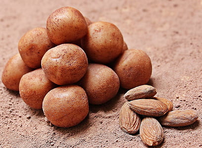 almond nut near round brown seed thumbnail
