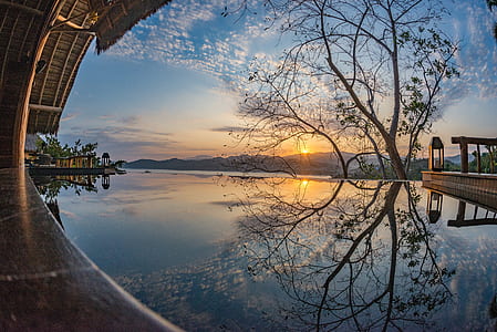 infinity pool near tree and brown wooden house thumbnail