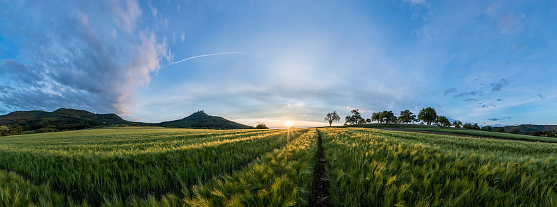 landscape photo of green grass field thumbnail