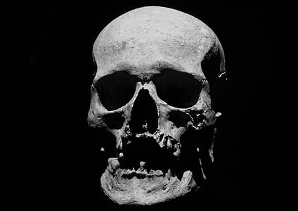 human skull thumbnail