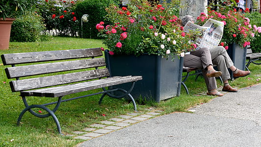 two persons reading newspaper while sitting on bench thumbnail
