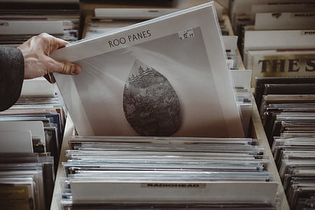 person about to get Roo Panes vinyl sleeve thumbnail