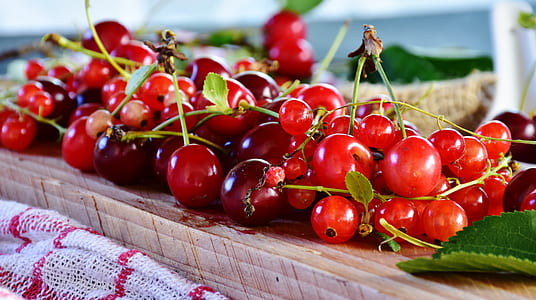closeup photo of red cherries thumbnail