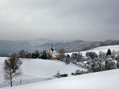 brown house surrounded by trees during winter thumbnail
