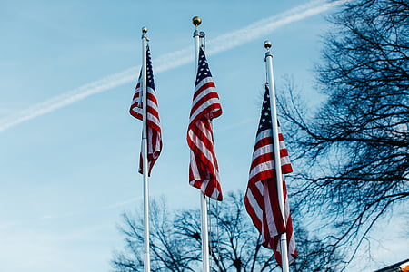 American flag near bare tree at daytime thumbnail