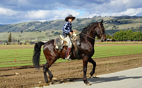 woman riding on brown horse during daytime thumbnail