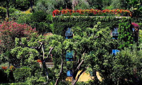 villa covered with trees thumbnail